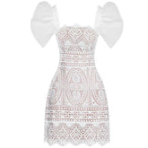 SquAre Collar Embroidered Lace Mini Dress In White
