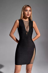 Aaliyah Black Sleeveless Mini Dress - Catchall