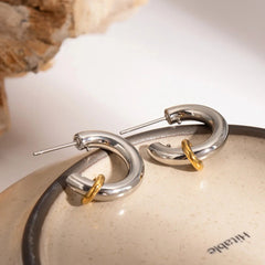 Dual-Tone Charms Earrings