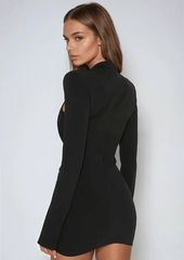 Long Sleeve Mini Dress