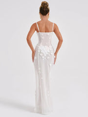 Sheer Mesh Sexy Maxi Dress