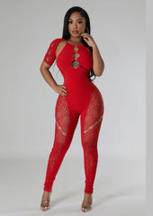 Short Sleeve Mesh Bodycon Jumpsuit
