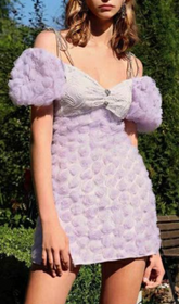 Rose EmbelliShed Mini Dress In Lilac