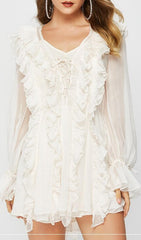 Mesh RuffleS Mini Dress