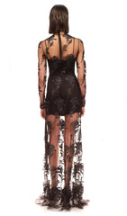 Embroidered Mesh Floral Maxi Dress In Black