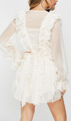 Mesh RuffleS Mini Dress