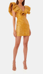 Jacquard Lace UP Mini Dress In Tan