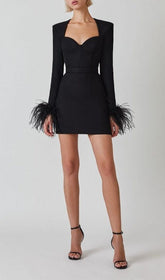 STRETCH Long Sleeves FeaTher Mini Dress In Black