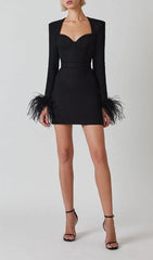 STRETCH Long Sleeves FeaTher Mini Dress In Black
