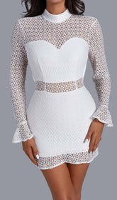 White Long Sleeve Lace Mini Dress