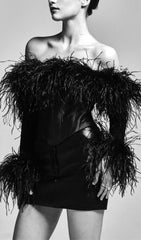 FeaTher Corset Mini Dress In Black