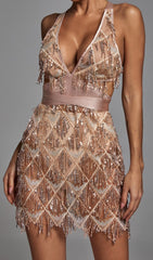 Champagne Sequin Backless Mini Dress