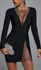 ELA V Neck Mesh Mini Dress