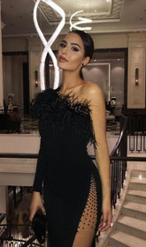 Black One-Shoulder Long Sleeve FeaTher Slits Mesh Bandage Dress