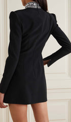 Long-Sleeve Crystal Trim Mini Dress In Black