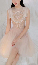 Mesh Embroidered SKATeR Dress In Pink