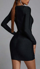 ELA V Neck Mesh Mini Dress