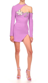 Long Sleeve Sut Out Floral Mini Dress