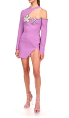 Long Sleeve Sut Out Floral Mini Dress