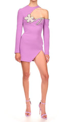 Long Sleeve Sut Out Floral Mini Dress