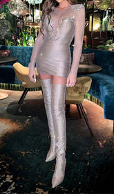 Rhinestone Mesh Mini Dress In Sliver