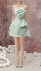 Strapless Bow Mini Dress