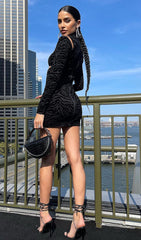 Zebra Striped Turtle Neck Hollow Out Long Sleeves Dress