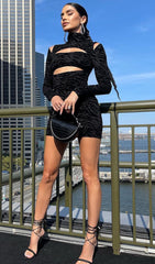 Zebra Striped Turtle Neck Hollow Out Long Sleeves Dress