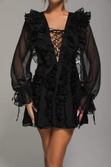 Mesh RuffleS Mini Dress