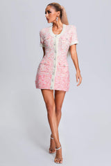 Viera Mini Knit Dress