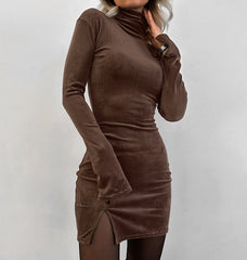 Slim Fit Velvet Sheath Turtleneck Dress