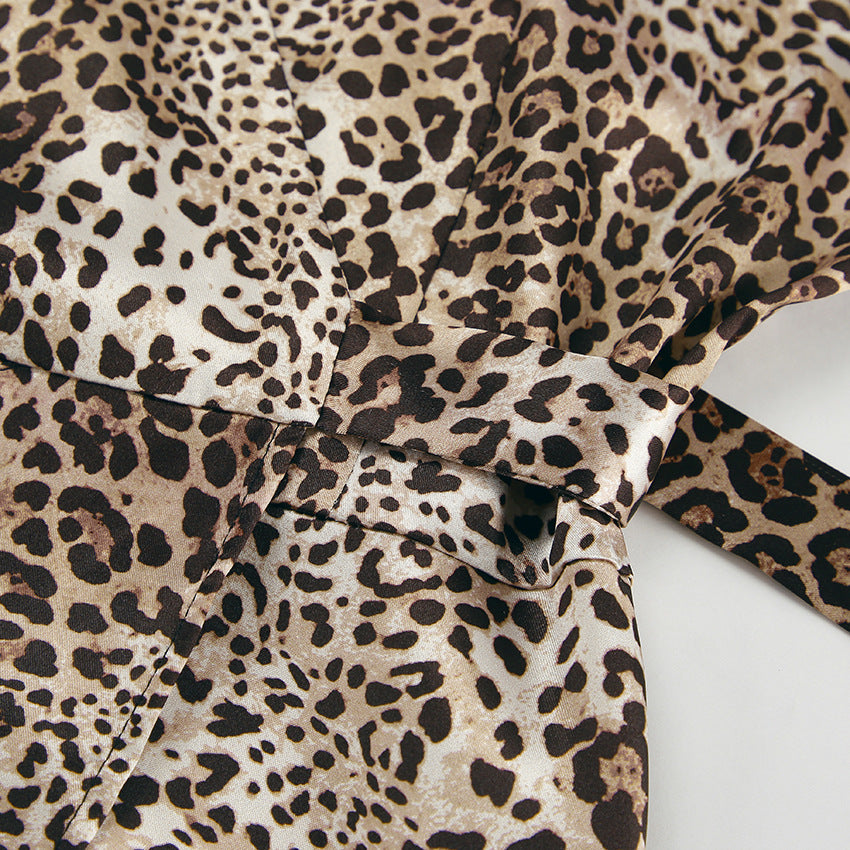 Leopard Print Lantern Sleeve V-Neck Dress