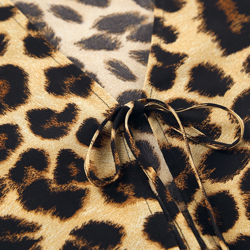 Leopard Print Loose V-neck Tie Top and Elastic Waist Comfort Pants Set