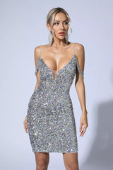 Talia Silver Sequin Dress