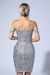 Talia Silver Sequin Dress