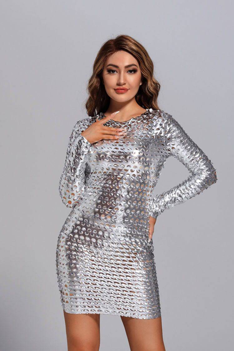 Luna Silver Mesh Bodycon Dress - Catchall