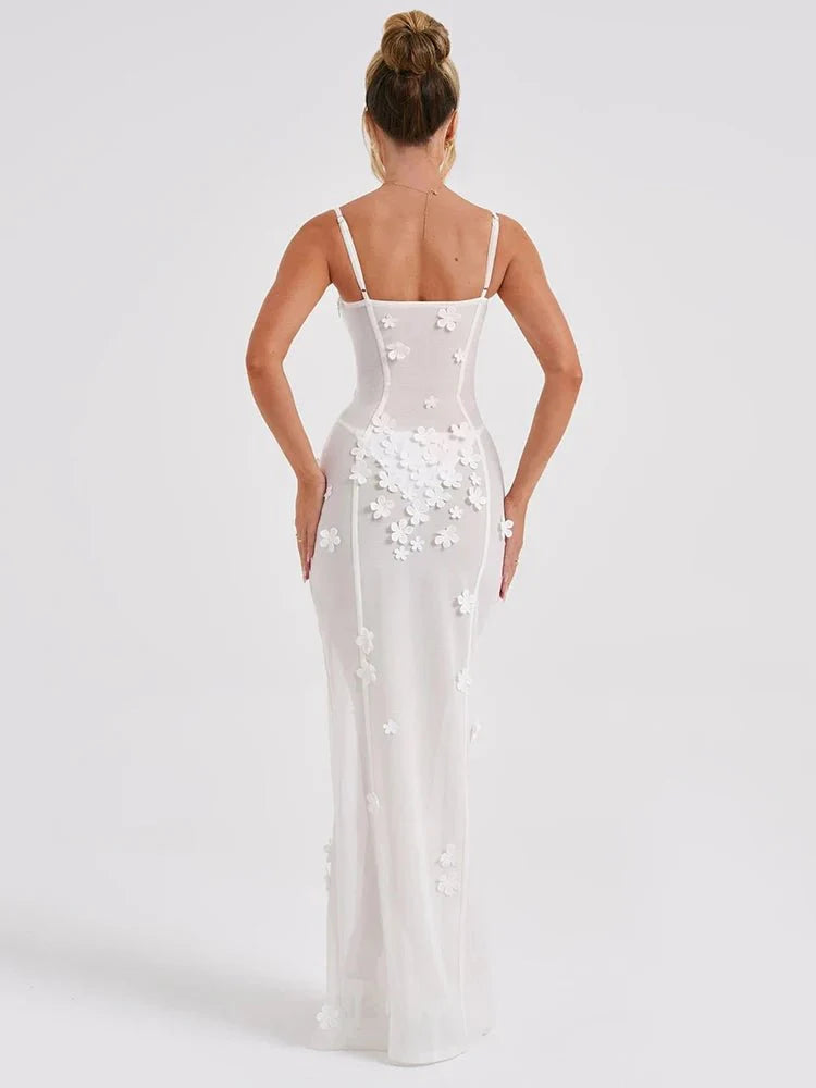 Sheer Mesh Sexy Maxi Dress