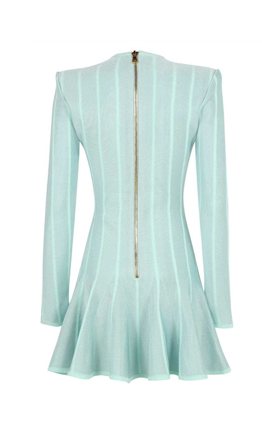 Button-EmbelliShed Mesh Mini Dress In Mint