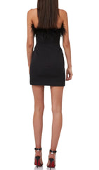 Strapless FeaTher Mini Dress In Black