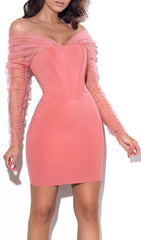 Off Shoulder Mesh Mini Dress In Pink