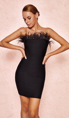 FeaTher Strapless Dress