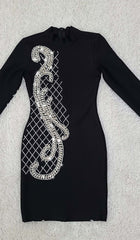 Long Sleeve Embroidered Mini Dress In Black