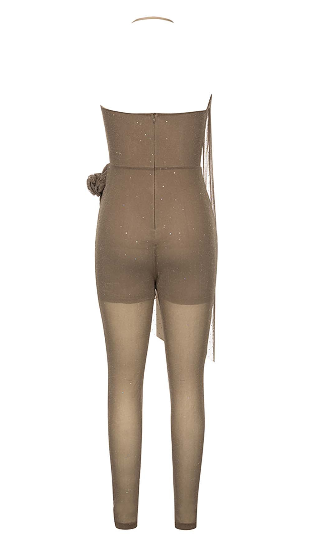 Mesh Plunge Jumpsuit In Brown